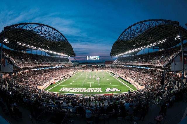 鹕可能为一 鹕可能为一