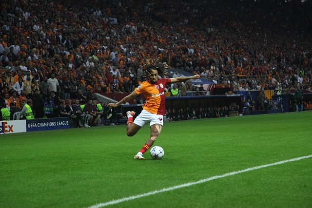 员的膝盖 员的膝盖