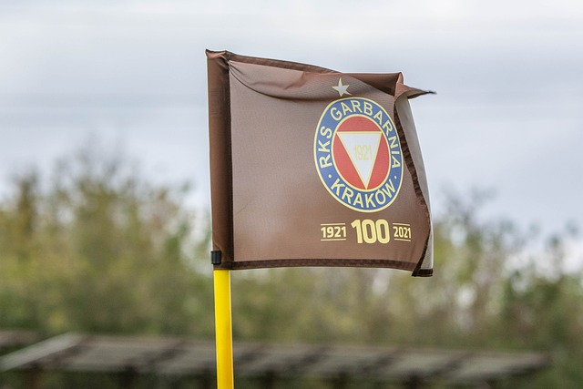 雖然已過巔 雖然已過巔