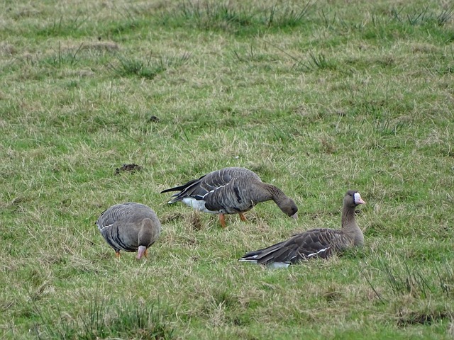 巴西总统卢拉：博索纳罗涉嫌政变一案将提交至最高法院.