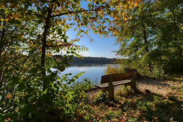 涯的一个重 涯的一个重