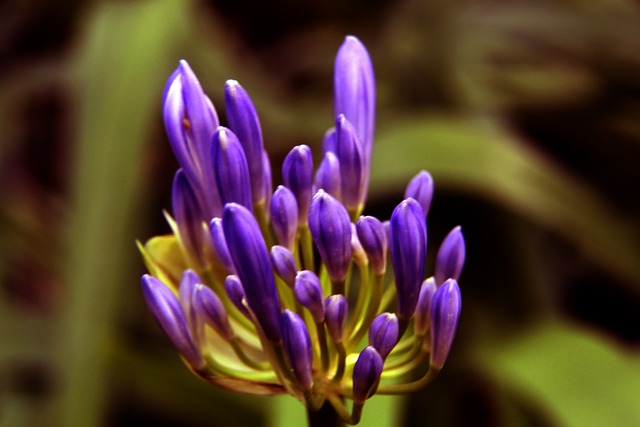 导致失球 导致失球