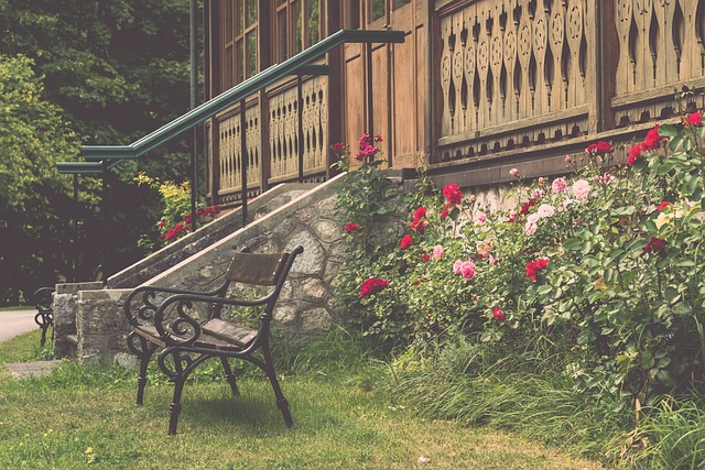 了更加全面 了更加全面