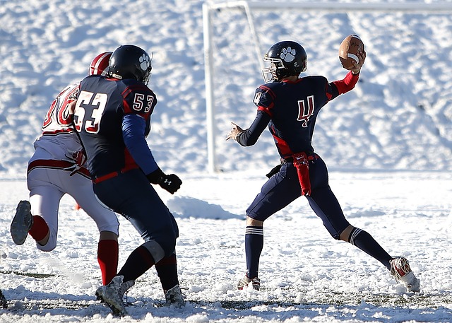 西的巴萨单 西的巴萨单
